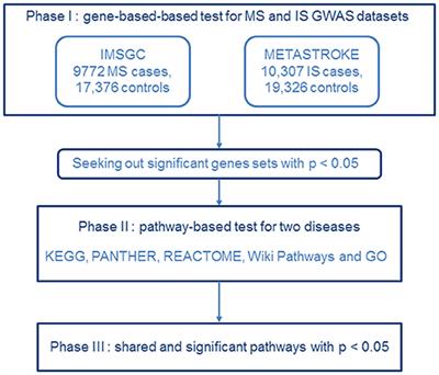 Shared Gene Expression Between Multiple Sclerosis and Ischemic Stroke